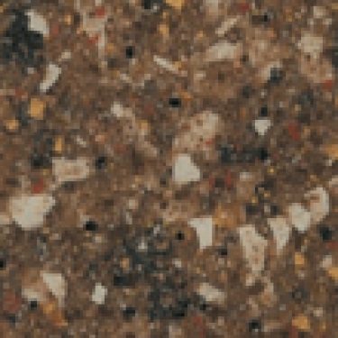 650 Autumn