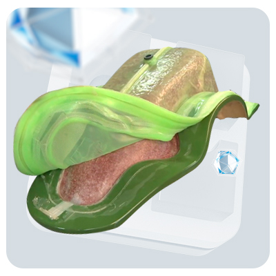 Flex Moulding